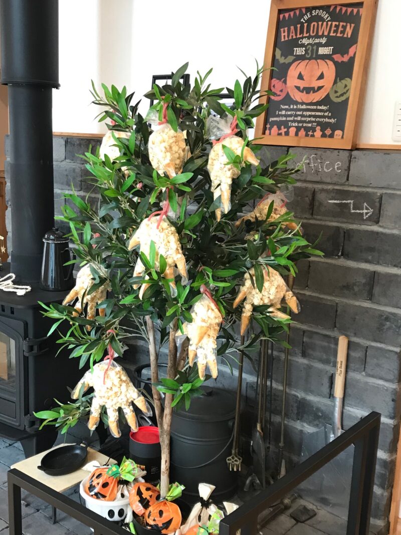 この～木、なんの木？🎶🎃