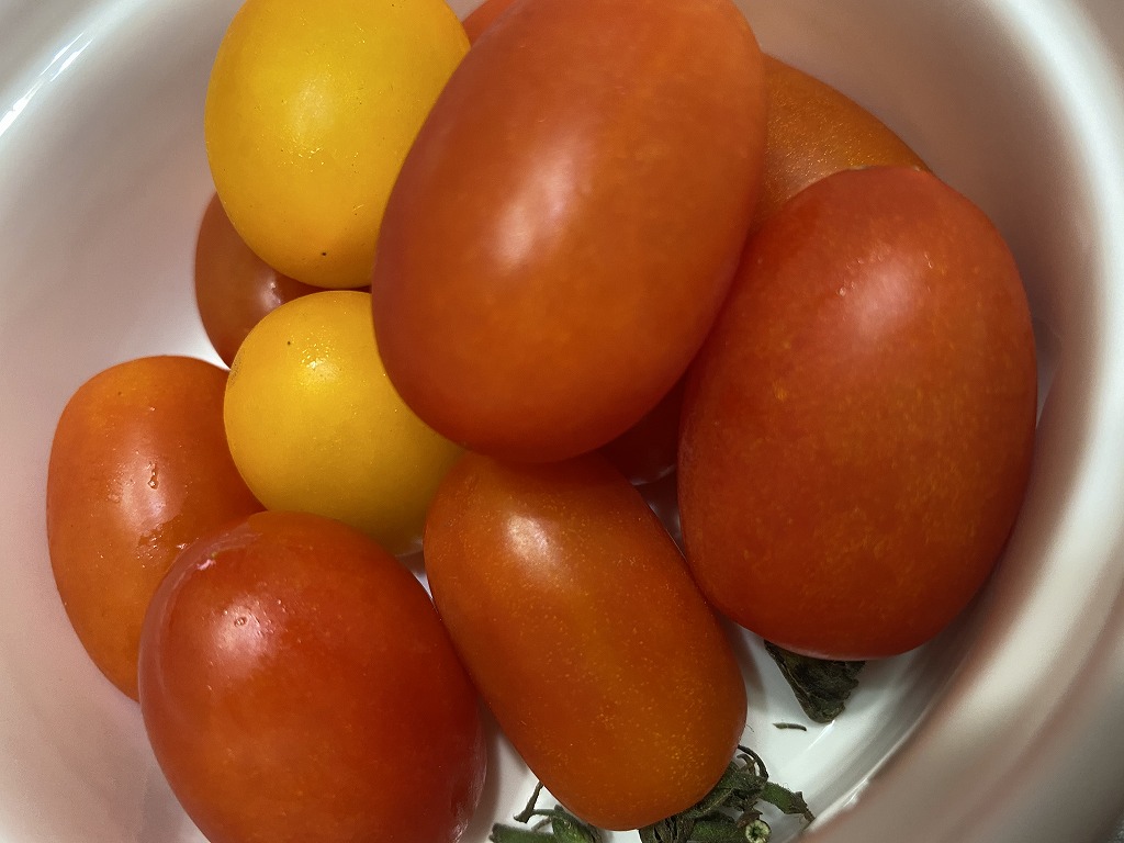 野菜たち･･･🍅🍅🍅💦