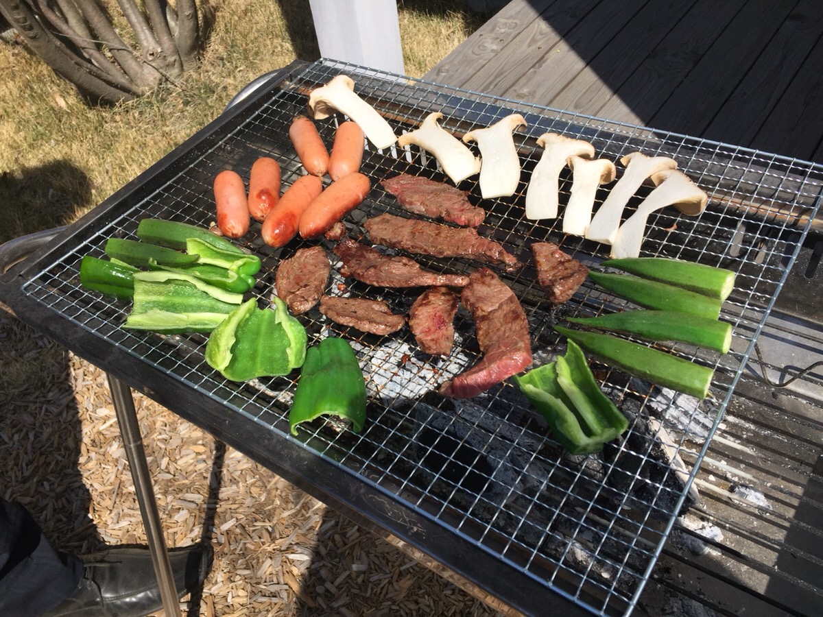 こんなことPartⅠ(*´﹀`*)
