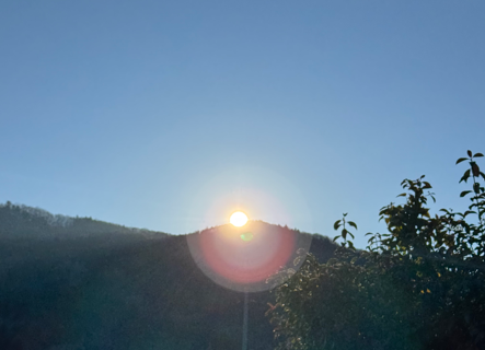 明けましておめでとうございます。