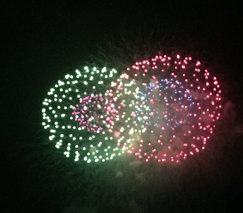 やっぱり栄養がいちばん♫