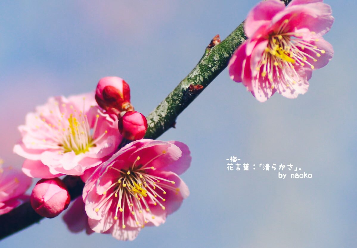 -令和-の時代へ