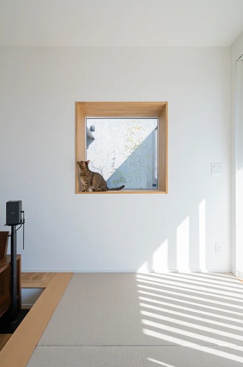 窓辺でひなたぼっこする猫も、この家の住人