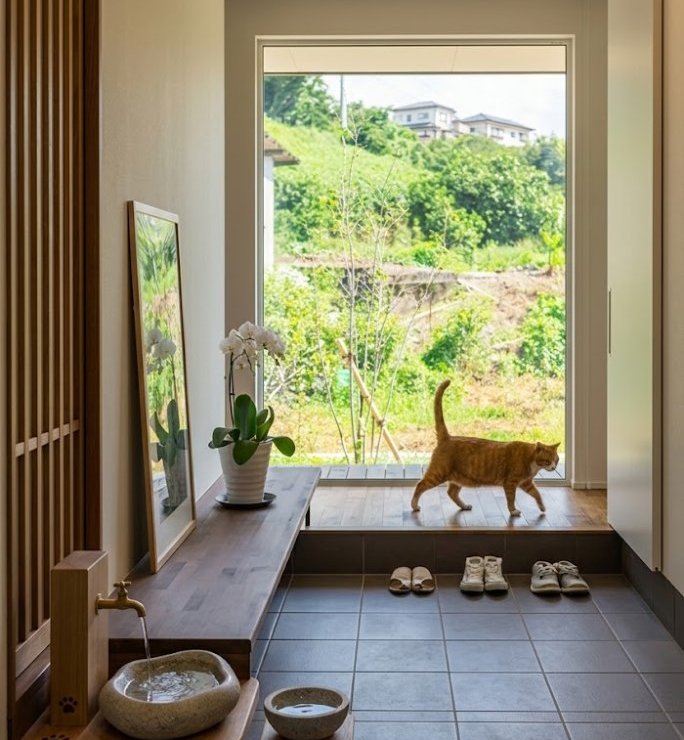 窓辺でひなたぼっこする猫も、この家の住人